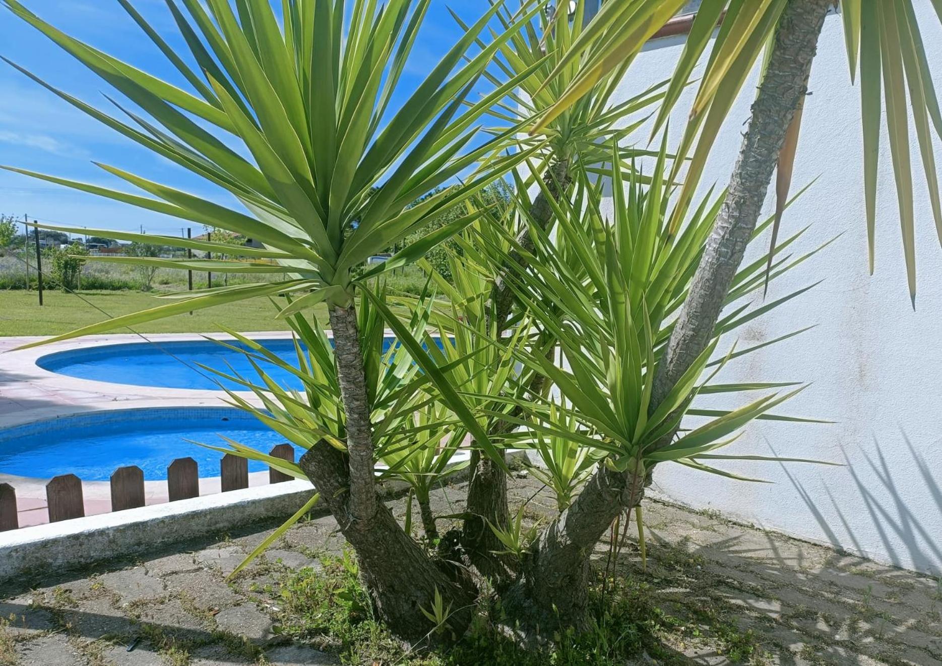 Casa Do Vale Hotel Evora Luaran gambar